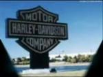 Harley-Davidson St.Petersburg  !