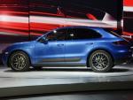 Macan  4-     18 